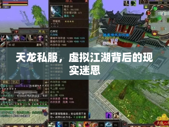 天龙私服，虚拟江湖背后的现实迷思