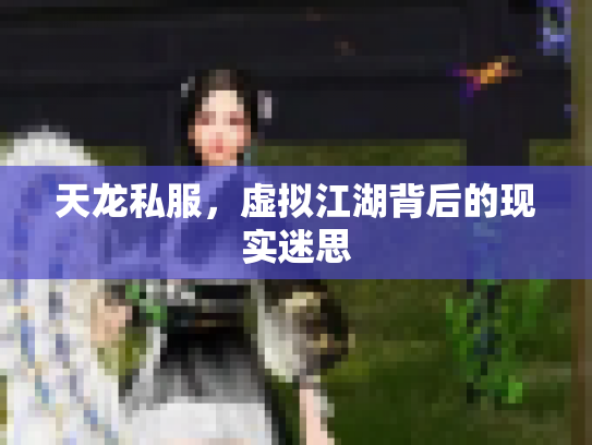 天龙私服，虚拟江湖背后的现实迷思