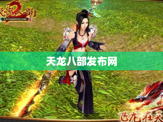 天龙八部发布网