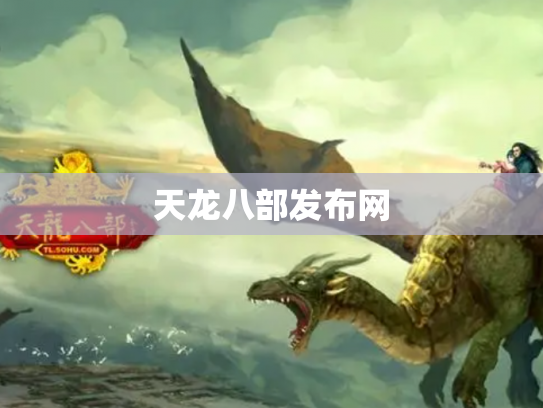 天龙八部发布网