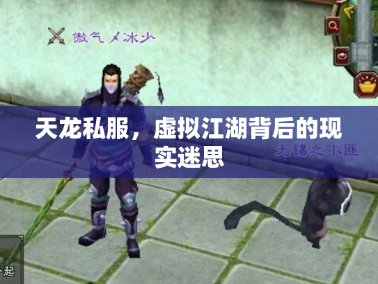 天龙私服，虚拟江湖背后的现实迷思