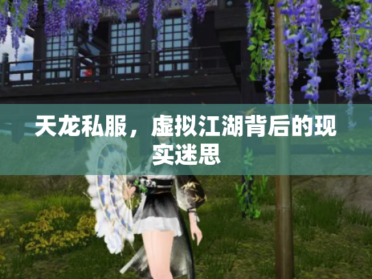 天龙私服，虚拟江湖背后的现实迷思