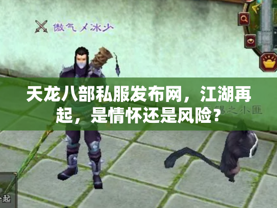 天龙八部私服发布网，江湖再起，是情怀还是风险？