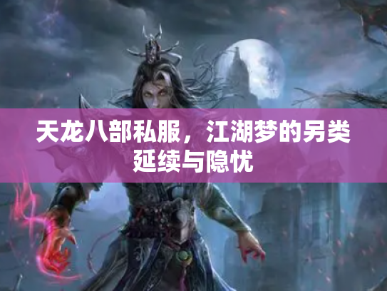 天龙八部私服，江湖梦的另类延续与隐忧