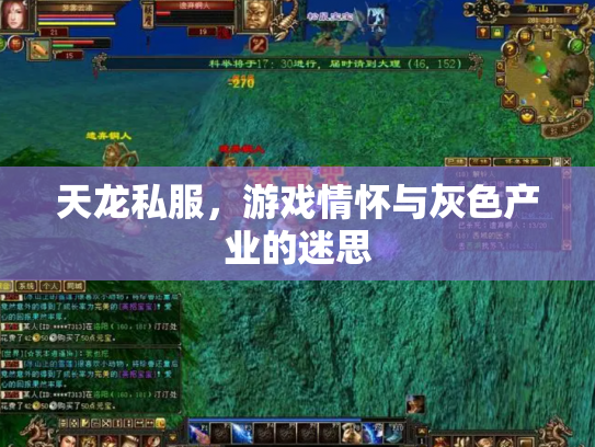 天龙私服，游戏情怀与灰色产业的迷思