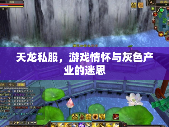 天龙私服，游戏情怀与灰色产业的迷思