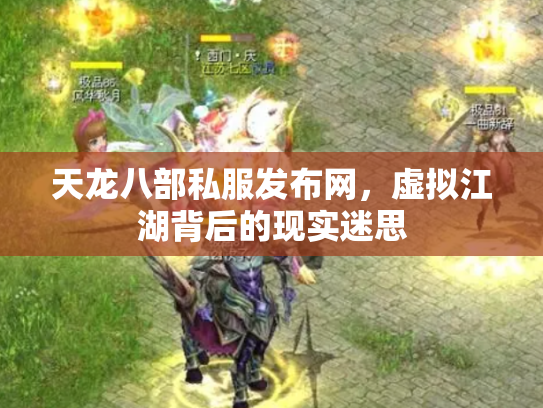 天龙八部私服发布网，虚拟江湖背后的现实迷思