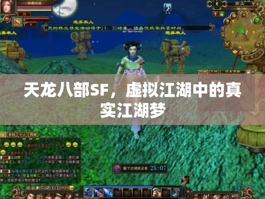 天龙八部SF，虚拟江湖中的真实江湖梦