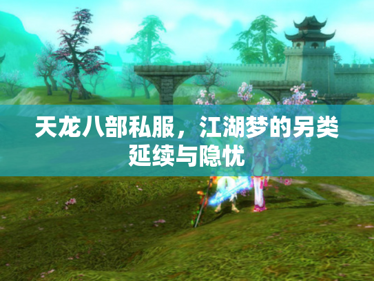 天龙八部私服，江湖梦的另类延续与隐忧