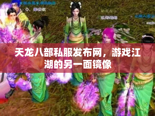 天龙八部私服发布网，游戏江湖的另一面镜像