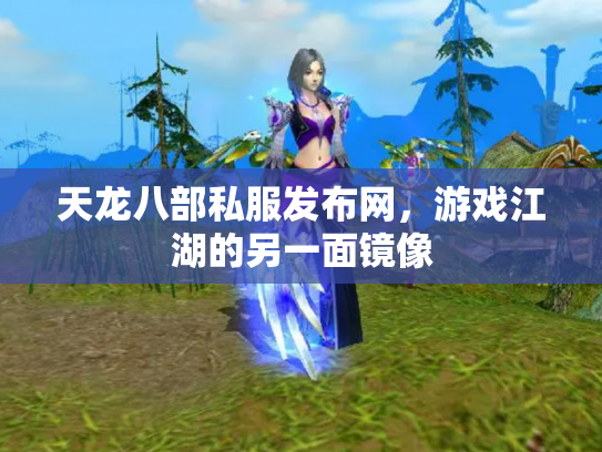 天龙八部私服发布网，游戏江湖的另一面镜像