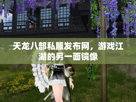 天龙八部私服发布网，游戏江湖的另一面镜像