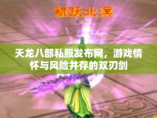 天龙八部私服发布网，游戏情怀与风险并存的双刃剑