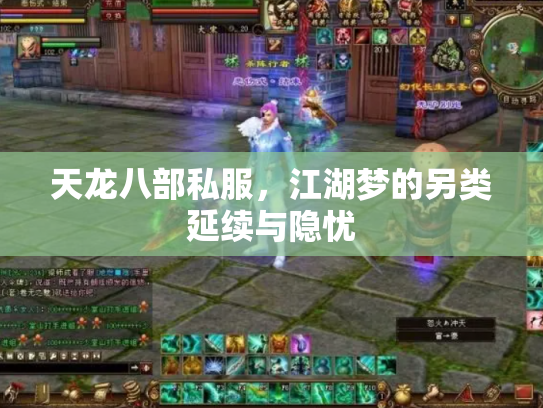 天龙八部私服，江湖梦的另类延续与隐忧