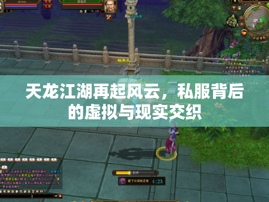 天龙江湖再起风云，私服背后的虚拟与现实交织