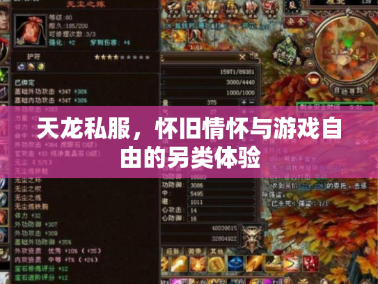 天龙私服，怀旧情怀与游戏自由的另类体验