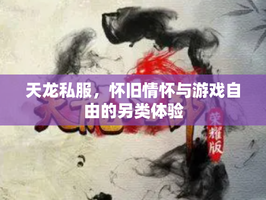 天龙私服，怀旧情怀与游戏自由的另类体验
