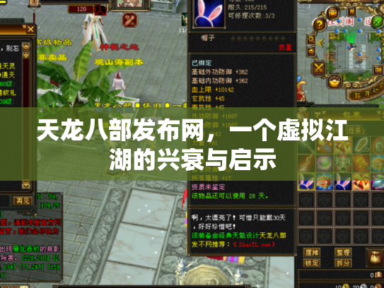 天龙八部发布网，一个虚拟江湖的兴衰与启示