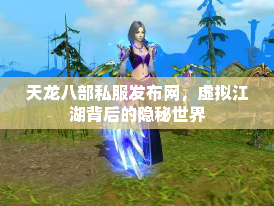 天龙八部私服发布网，虚拟江湖背后的隐秘世界