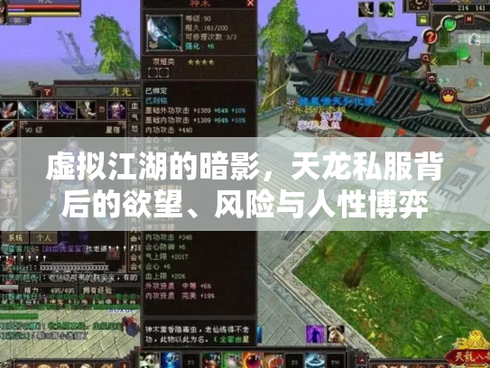 虚拟江湖的暗影，天龙私服背后的欲望、风险与人性博弈