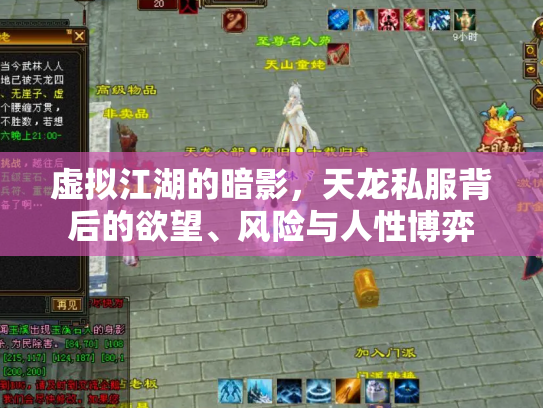 虚拟江湖的暗影，天龙私服背后的欲望、风险与人性博弈