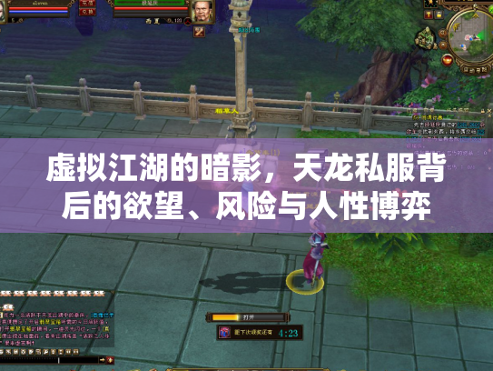 虚拟江湖的暗影，天龙私服背后的欲望、风险与人性博弈