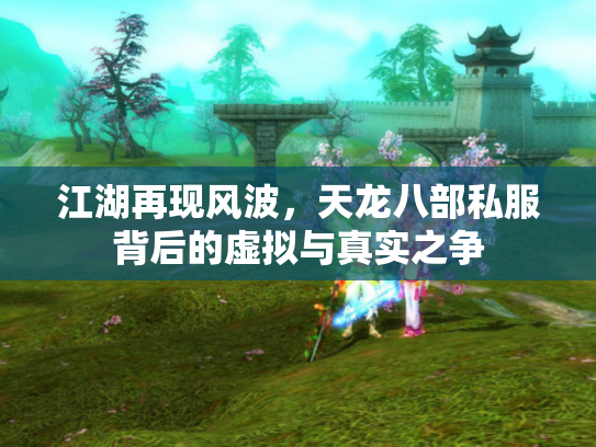 江湖再现风波，天龙八部私服背后的虚拟与真实之争