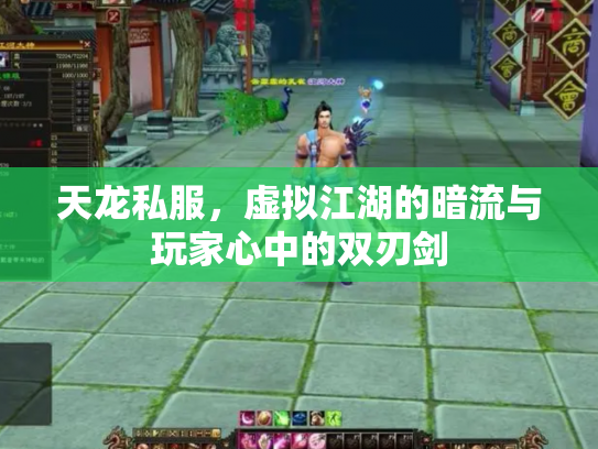 天龙私服，虚拟江湖的暗流与玩家心中的双刃剑