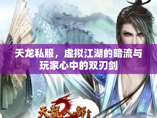 天龙私服，虚拟江湖的暗流与玩家心中的双刃剑
