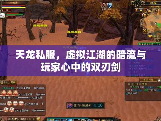 天龙私服，虚拟江湖的暗流与玩家心中的双刃剑