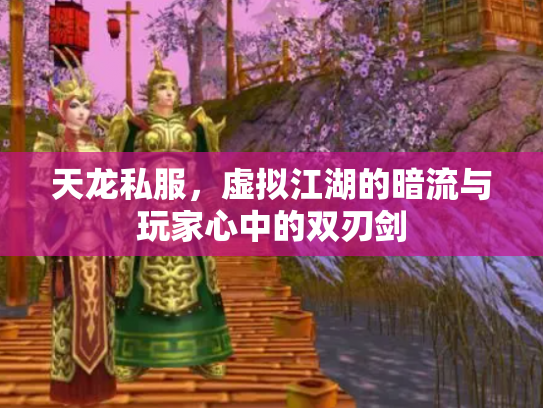 天龙私服，虚拟江湖的暗流与玩家心中的双刃剑