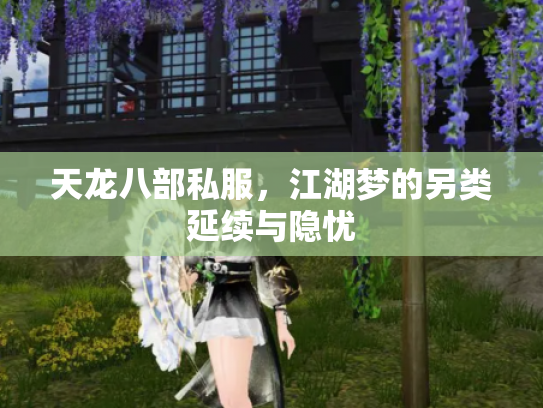 天龙八部私服，江湖梦的另类延续与隐忧
