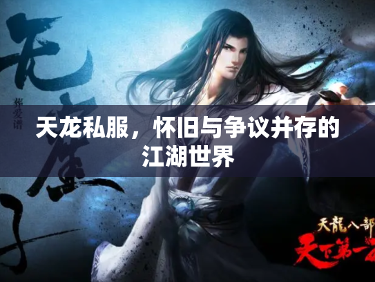 天龙私服，怀旧与争议并存的江湖世界