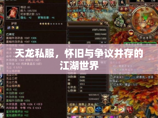 天龙私服，怀旧与争议并存的江湖世界