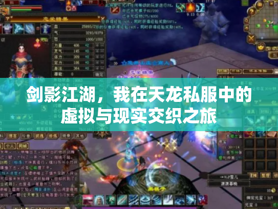 剑影江湖，我在天龙私服中的虚拟与现实交织之旅