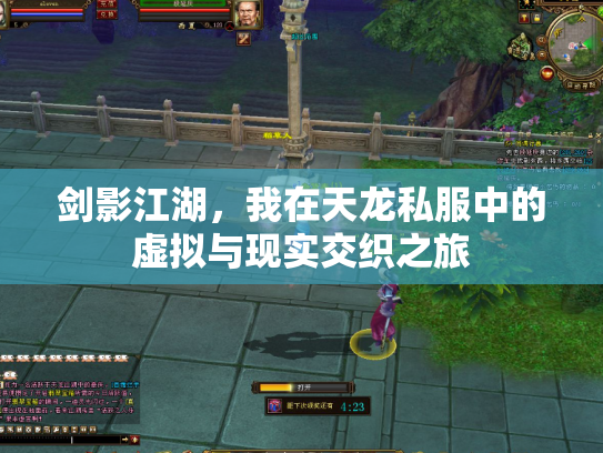 剑影江湖，我在天龙私服中的虚拟与现实交织之旅
