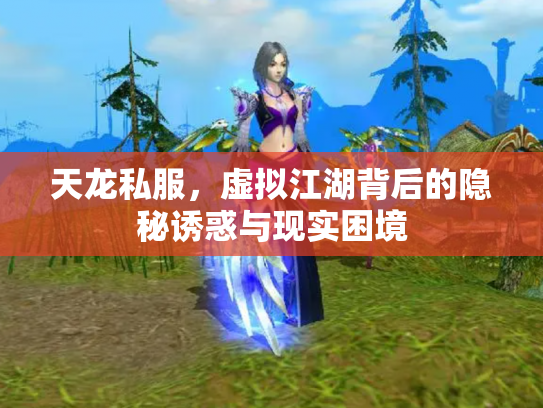 天龙私服，虚拟江湖背后的隐秘诱惑与现实困境