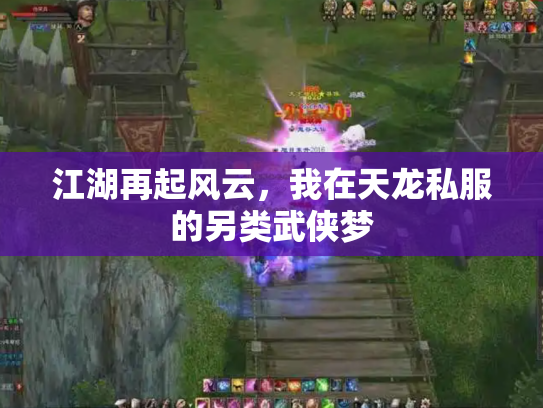 江湖再起风云，我在天龙私服的另类武侠梦