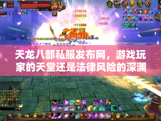 天龙八部私服发布网，游戏玩家的天堂还是法律风险的深渊？