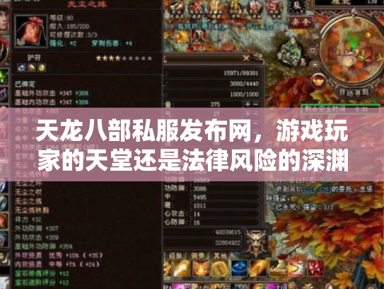 天龙八部私服发布网，游戏玩家的天堂还是法律风险的深渊？