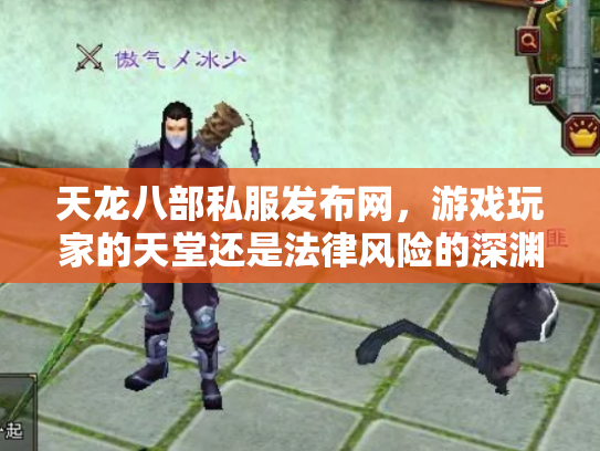 天龙八部私服发布网，游戏玩家的天堂还是法律风险的深渊？