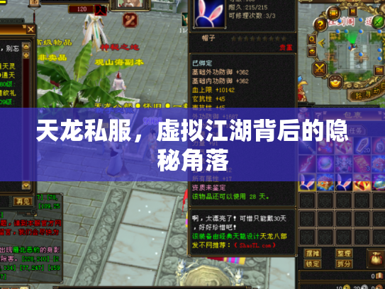 天龙私服，虚拟江湖背后的隐秘角落