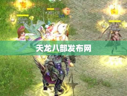 天龙八部发布网