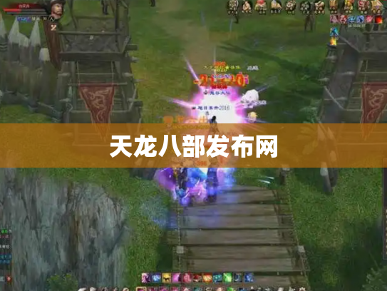 天龙八部发布网