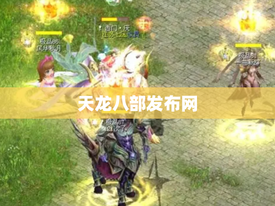 天龙八部发布网