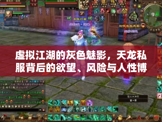 虚拟江湖的灰色魅影，天龙私服背后的欲望、风险与人性博弈