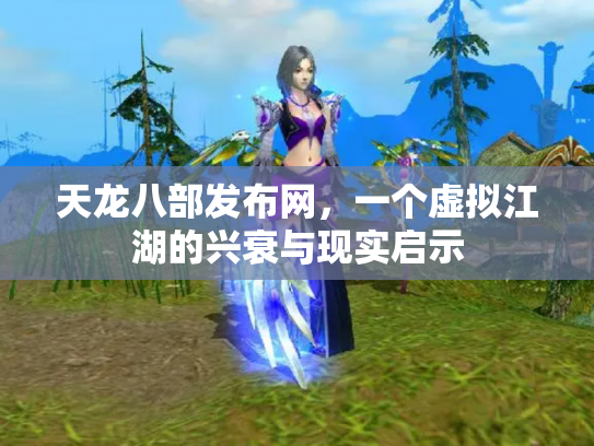 天龙八部发布网，一个虚拟江湖的兴衰与现实启示