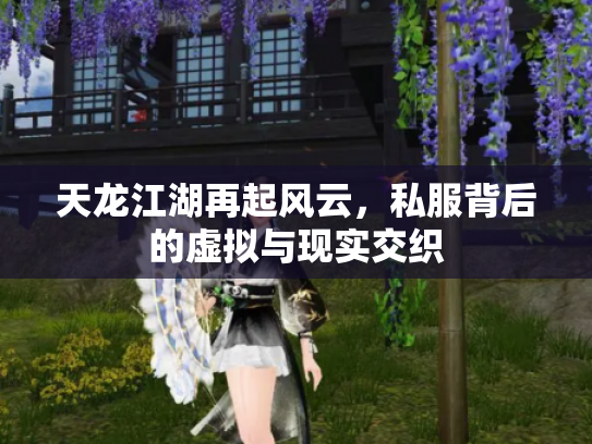 天龙江湖再起风云，私服背后的虚拟与现实交织
