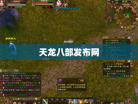 天龙八部发布网