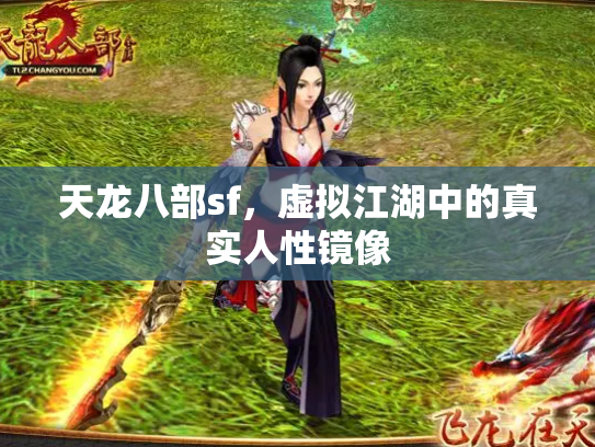 天龙八部sf，虚拟江湖中的真实人性镜像